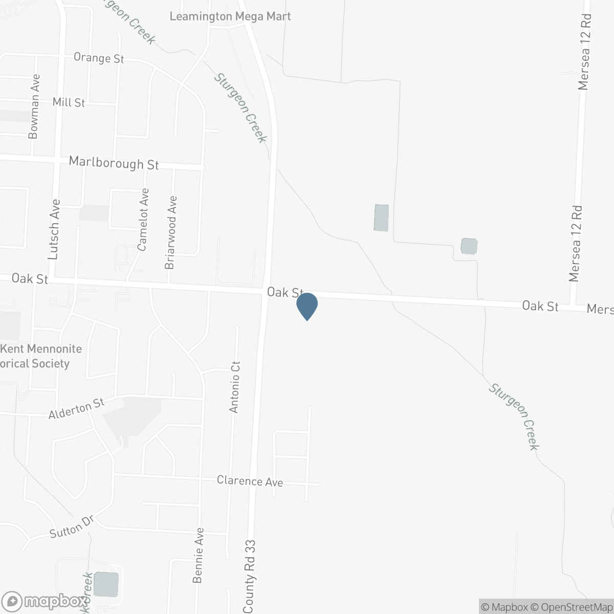 916 MERSEA RD 2, Leamington, Ontario N8H 3V7